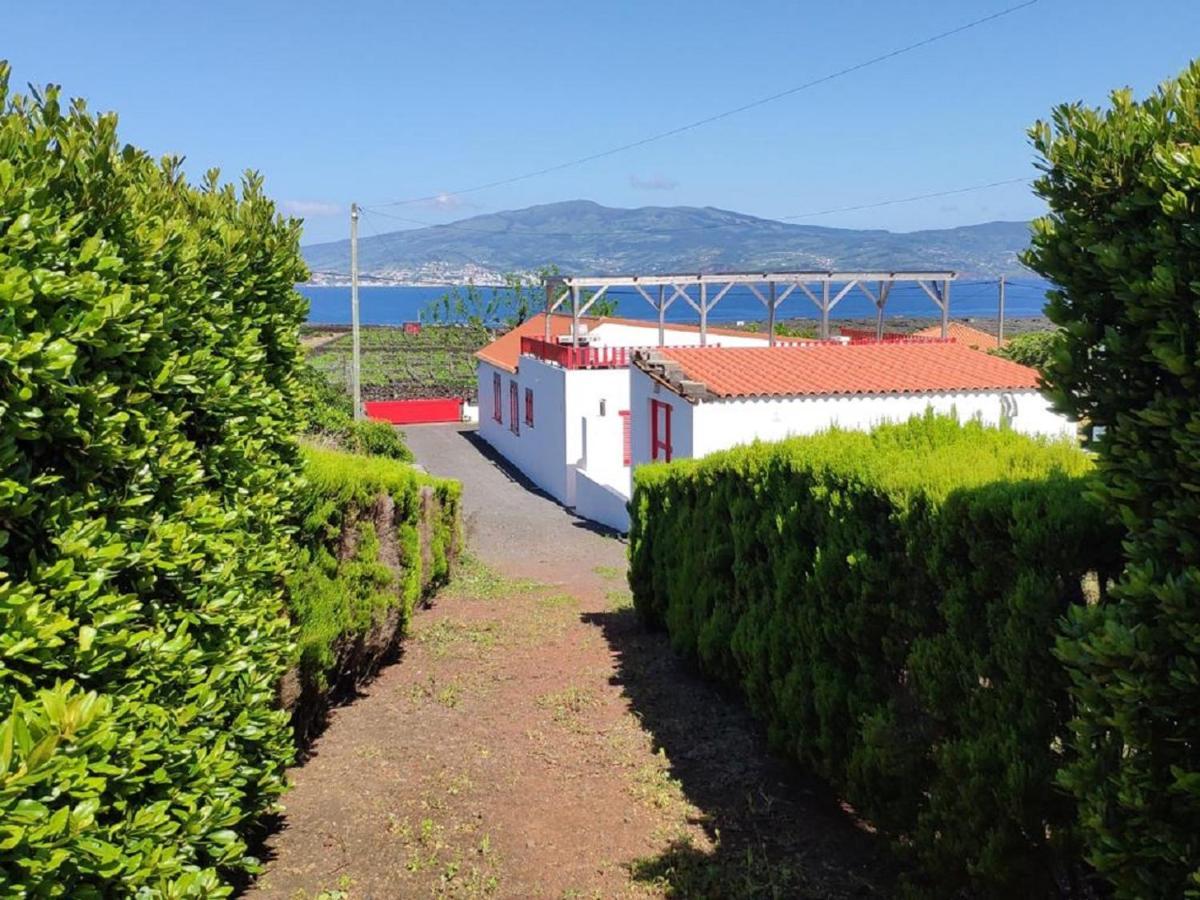 Casa Da Ilha Villa Madalena  Exterior foto